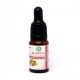 Blissful Aromatherapy Oil 10 ml